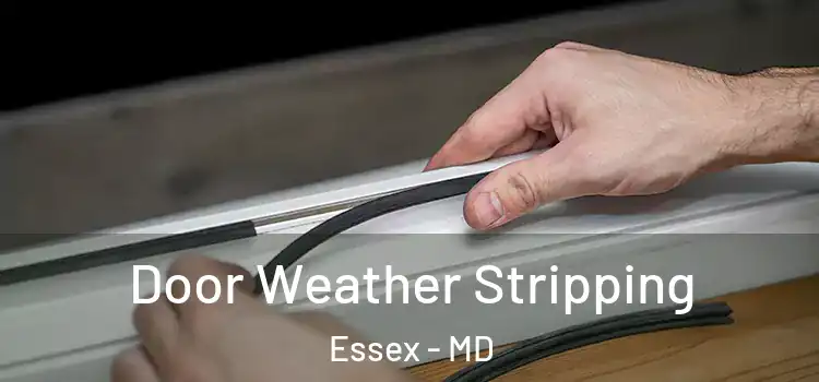 Door Weather Stripping Essex - MD